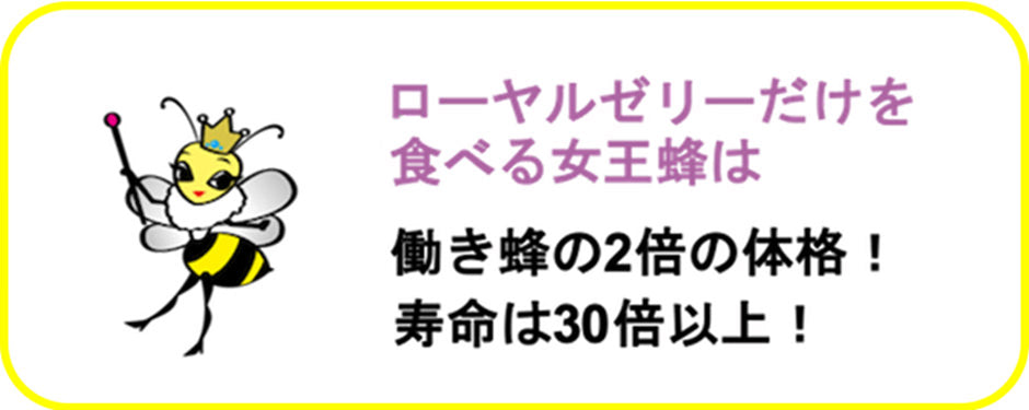 生ローヤルゼリー