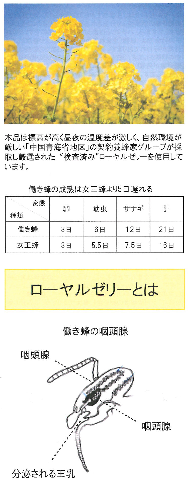 生ローヤルゼリー